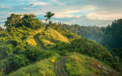 #4 Reasons why Travel is important for you